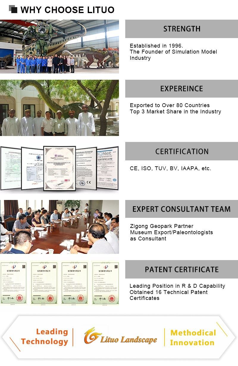 4WHY CHOOSE LITUO