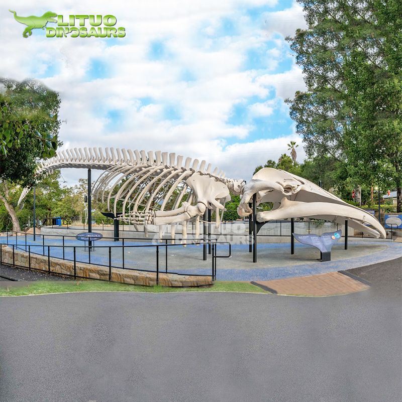 4Animal Fossil Whale(001)