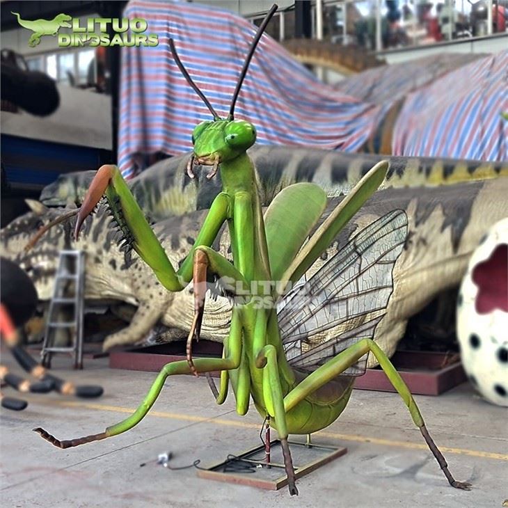 2Mantis(001)
