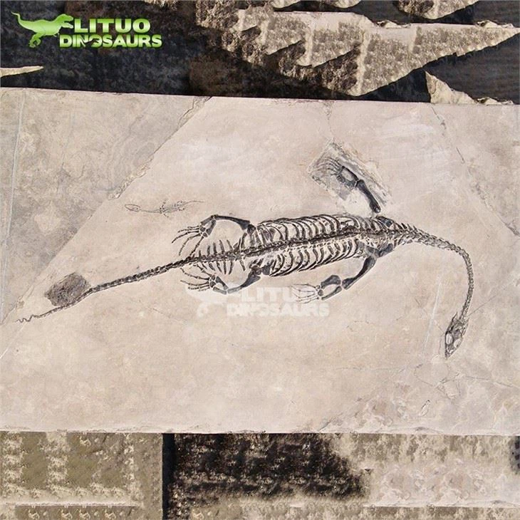 2Outdoor Dinosaur Fossil Relief(001)