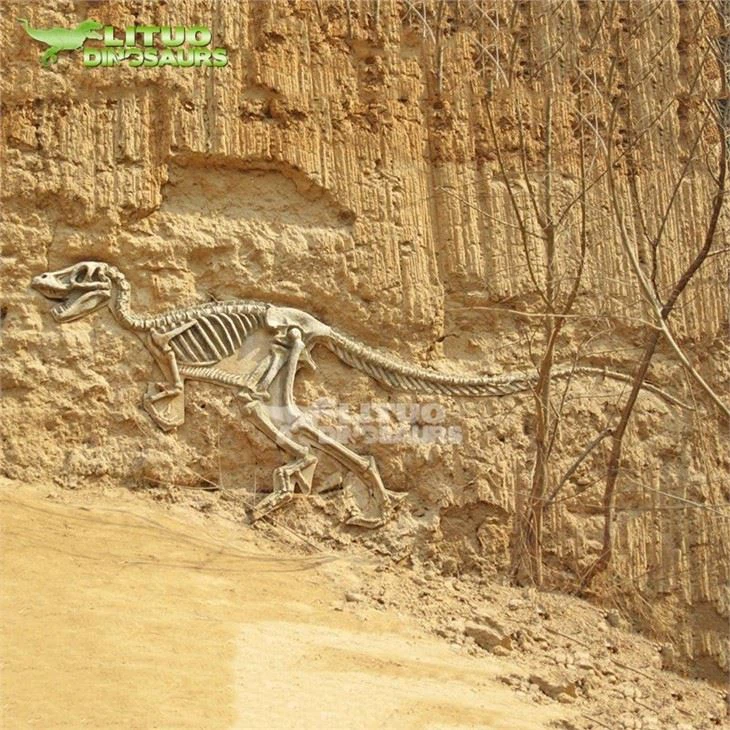 3Landscape Dinosaur Fossil Relief(001)