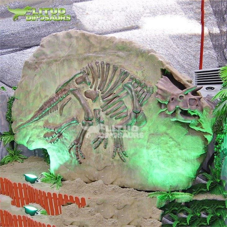 4Relief Dinosaur Fossil(001)