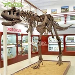 Carnotaurus luuranko