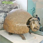 Glyptodonin luuranko