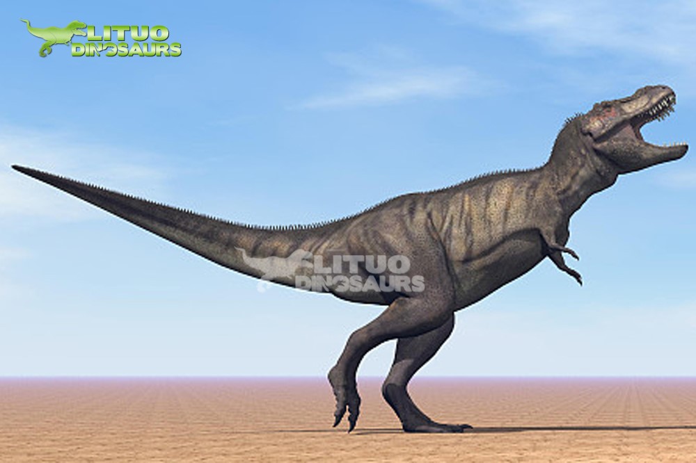 how to identify dinosaur 4 how to identify dinosaur 4